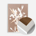 White Wood Frame
