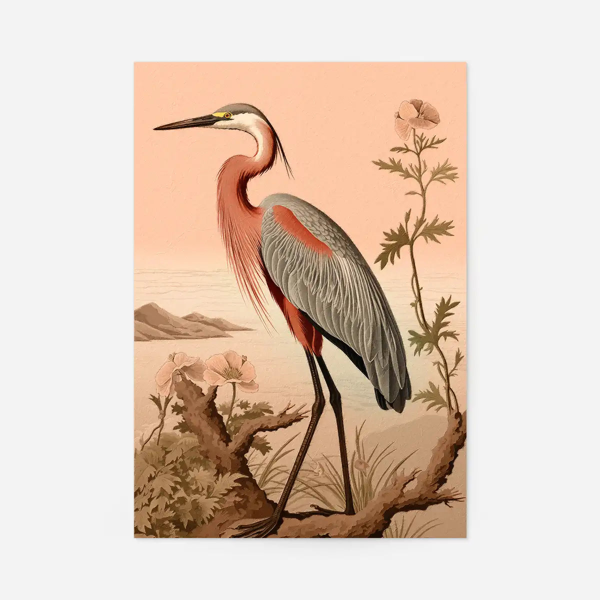 Vintage Heron Illustration Peach Print