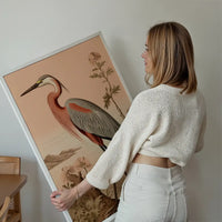 Vintage Heron Illustration Peach Print