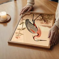 Vintage Heron Illustration Peach Print