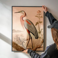 Vintage Heron Illustration Peach Print
