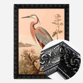 Black Ornate Frame