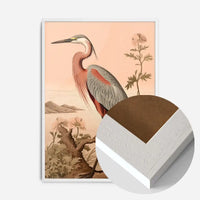Vintage Heron Illustration Peach Print