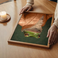Frog in Peach Jacket Animal Portrait Print