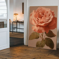 Large Close-Up Peach Rose Painting