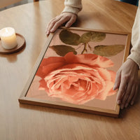Large Close-Up Peach Rose Painting