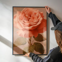 Large Close-Up Peach Rose Painting