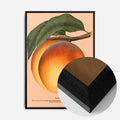 Black Wood Frame