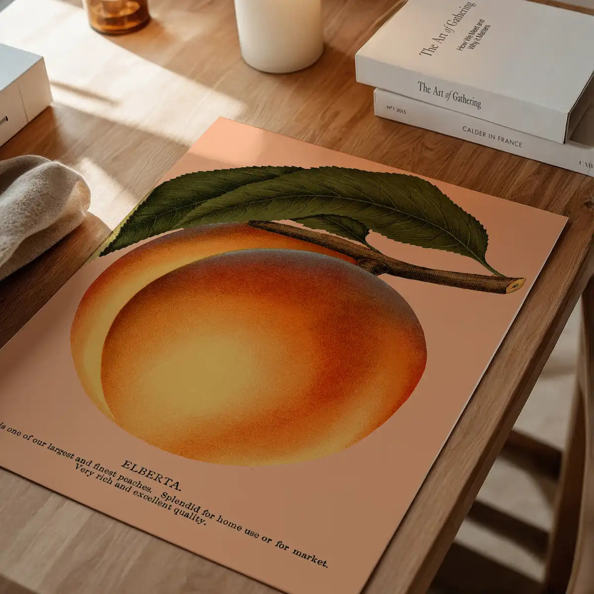 Large Vintage Elberta Peach Print