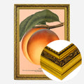 Gold Ornate Frame