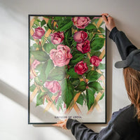 Empress of China Rose Vintage Lithograph Print
