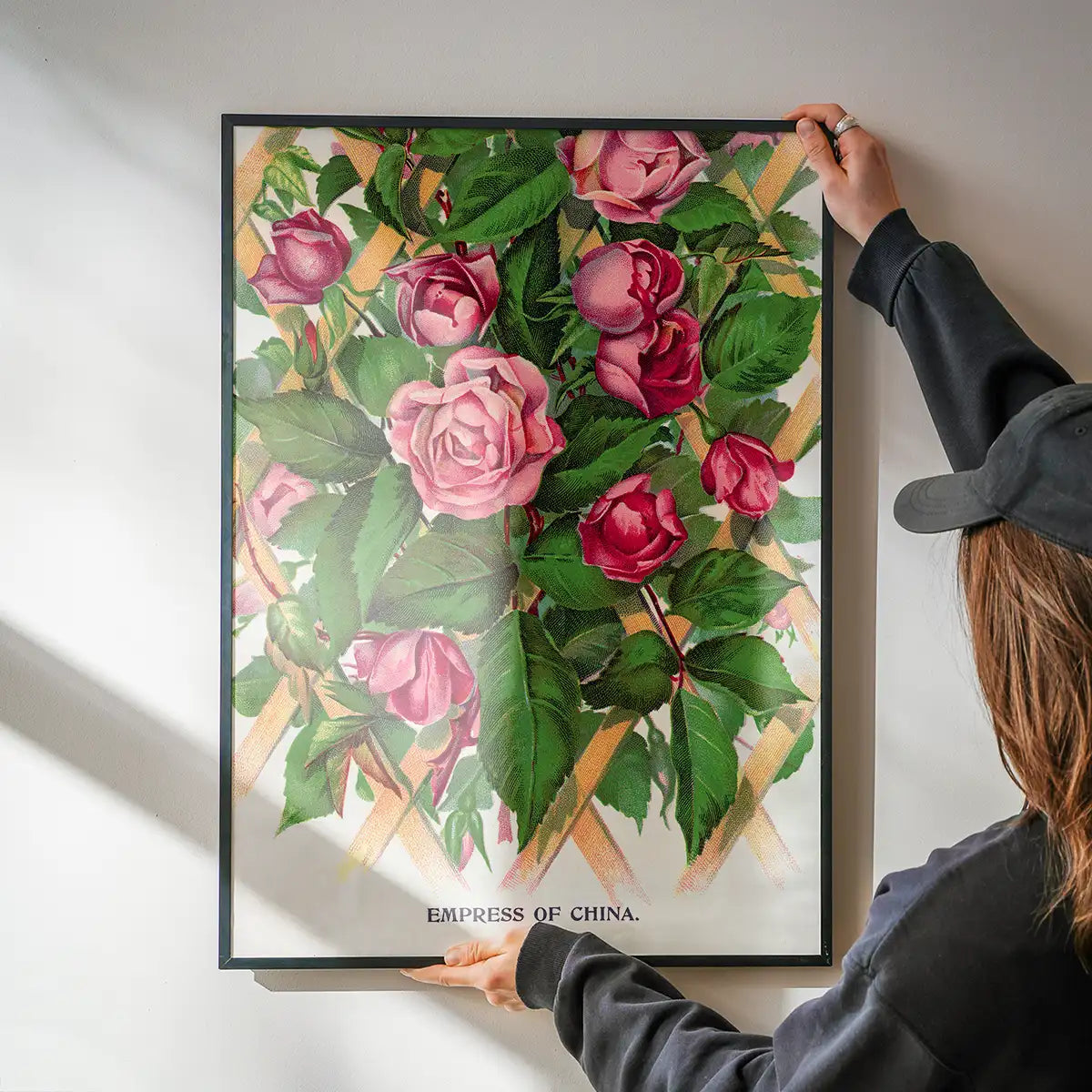 Empress of China Rose Vintage Lithograph Print