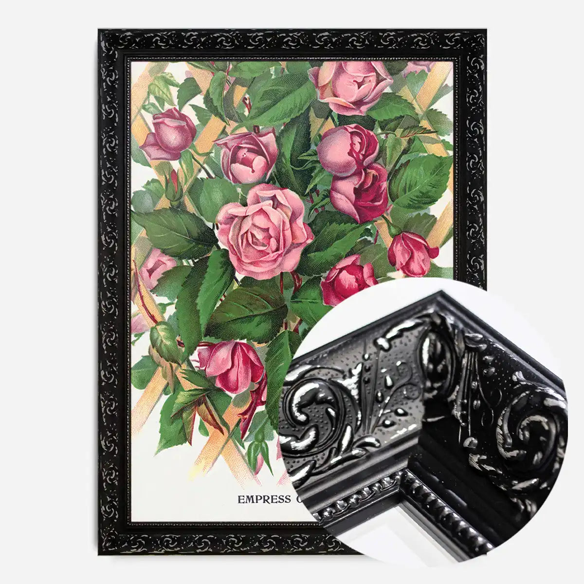 Empress of China Rose Vintage Lithograph Print