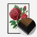 Black Wood Frame