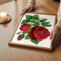 Red Rose Vintage Lithograph Print