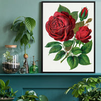 Red Rose Vintage Lithograph Print