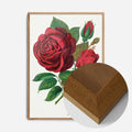Oak Wood Frame
