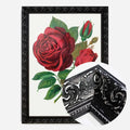 Black Ornate Frame