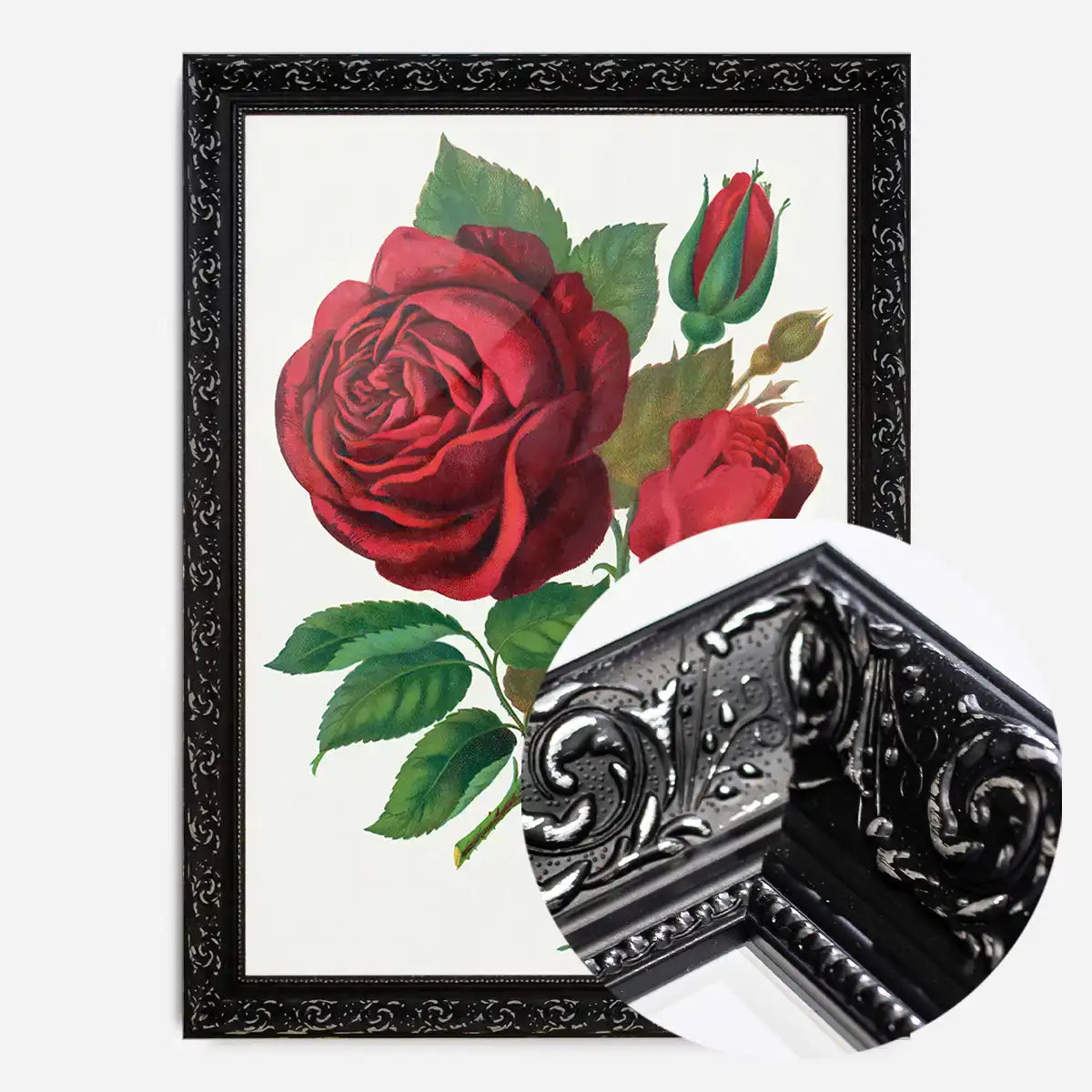Red Rose Vintage Lithograph Print