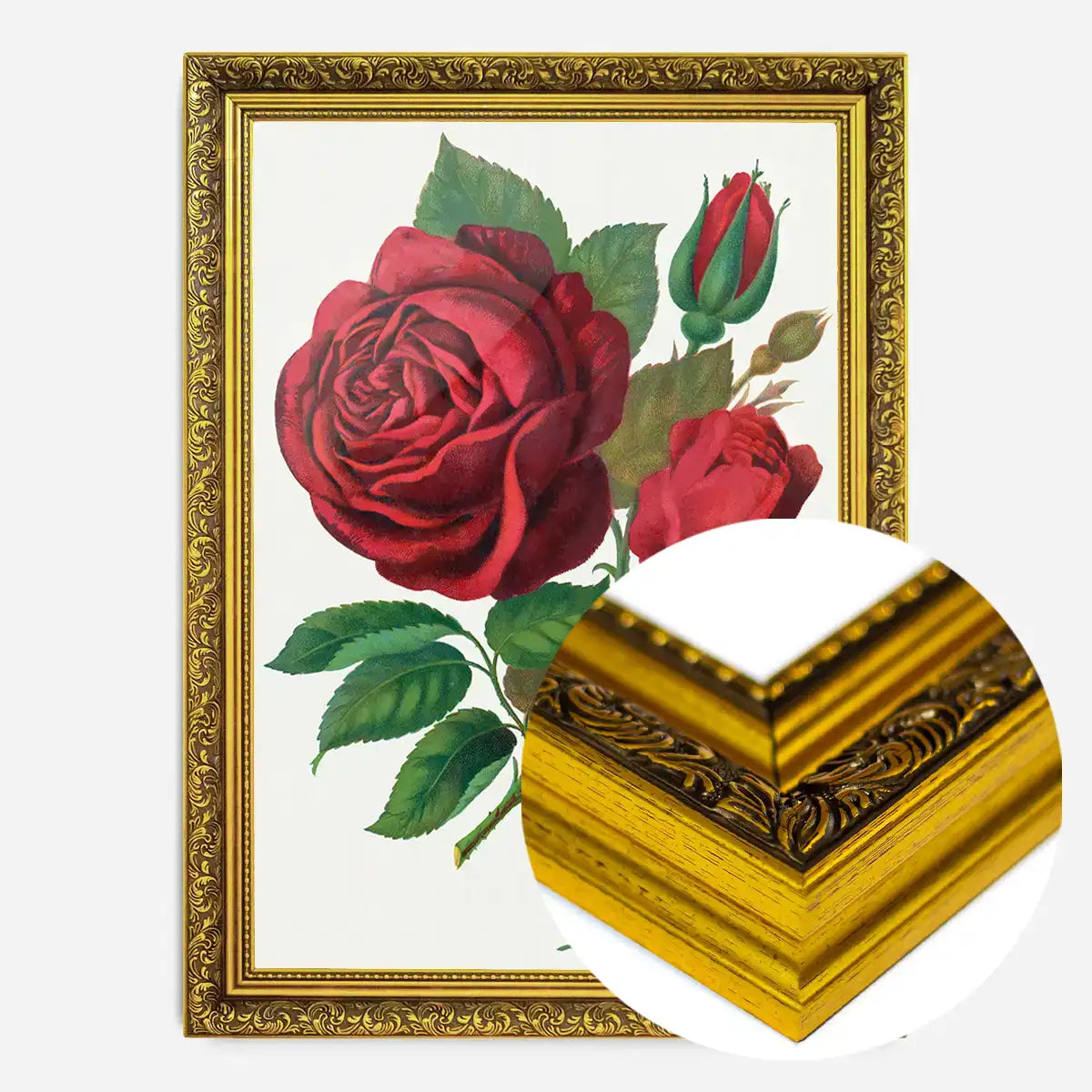 Red Rose Vintage Lithograph Print