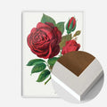 White Wood Frame