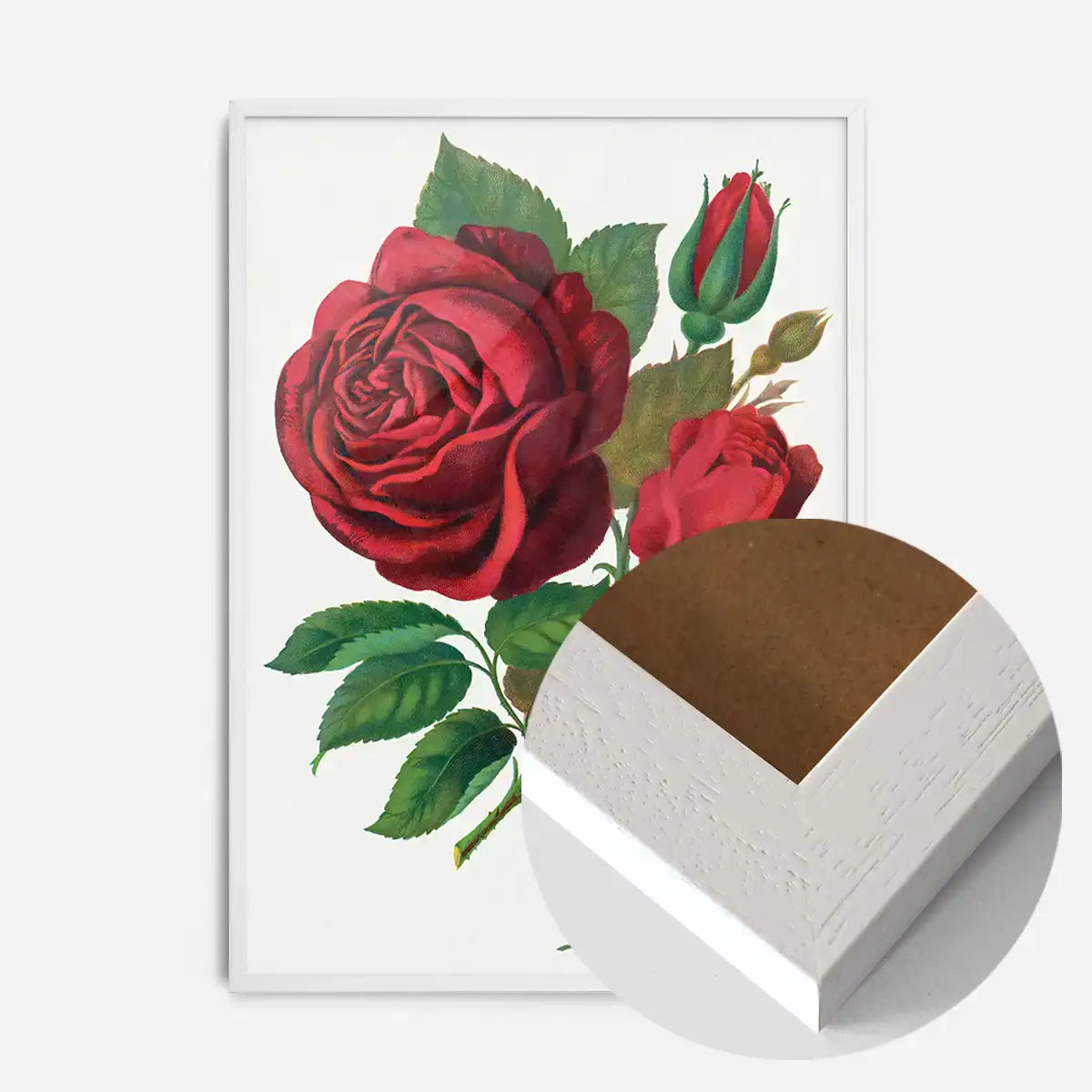 Red Rose Vintage Lithograph Print