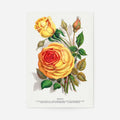 Print Only