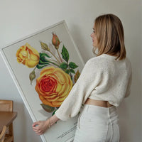Sunset Rose Vintage Lithograph Print