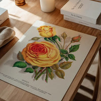 Sunset Rose Vintage Lithograph Print