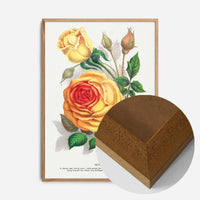Sunset Rose Vintage Lithograph Print