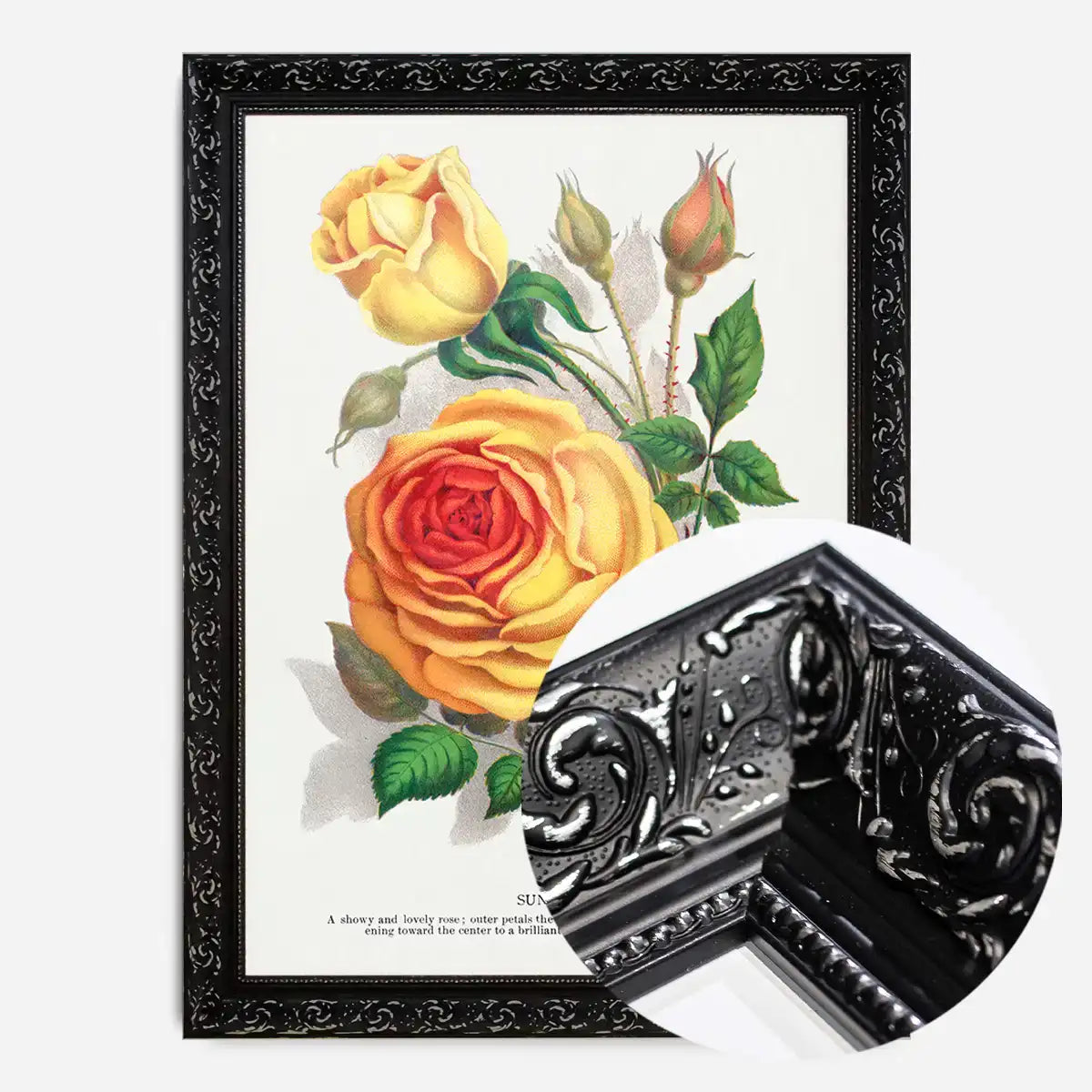 Sunset Rose Vintage Lithograph Print