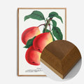 Oak Wood Frame