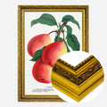 Gold Ornate Frame
