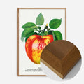 Oak Wood Frame