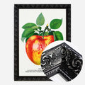Black Ornate Frame