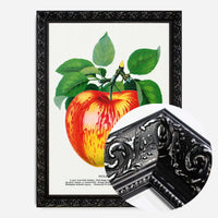 Wolf River Apple Lithograph Print