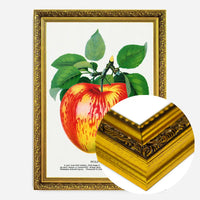 Wolf River Apple Lithograph Print