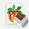 White Wood Frame