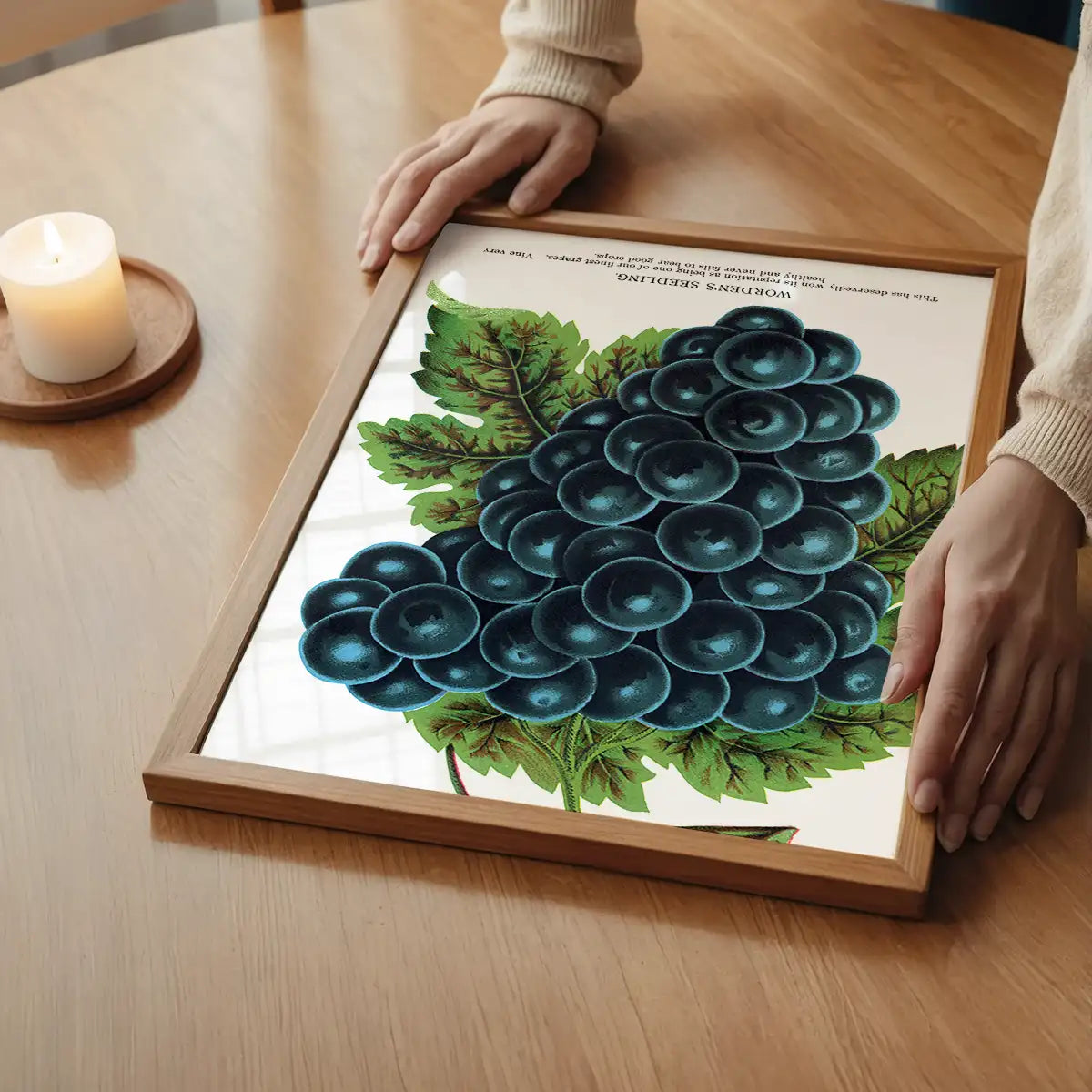 Worden's Seedling Grape vintage lithograph print
