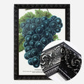 Black Ornate Frame