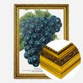 Gold Ornate Frame