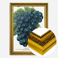 Worden's Seedling Grape vintage lithograph print