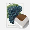 White Wood Frame