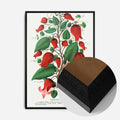 Black Wood Frame