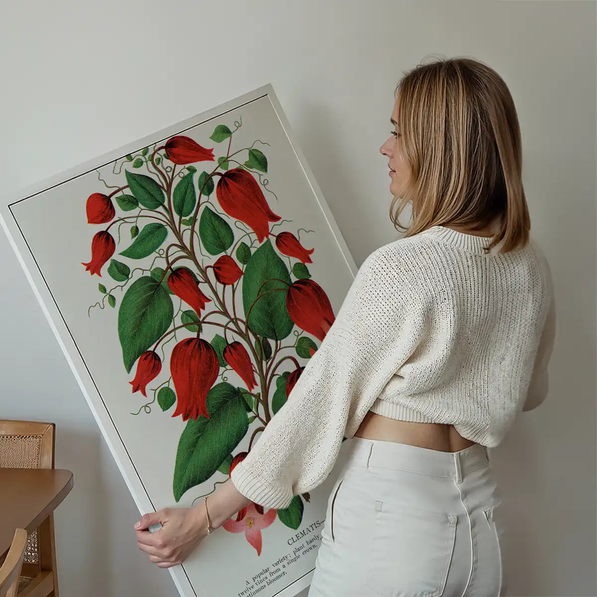 Red flower Clematis Coccinea Vintage Lithograph Print