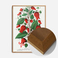 Oak Wood Frame