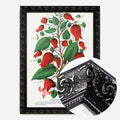 Black Ornate Frame