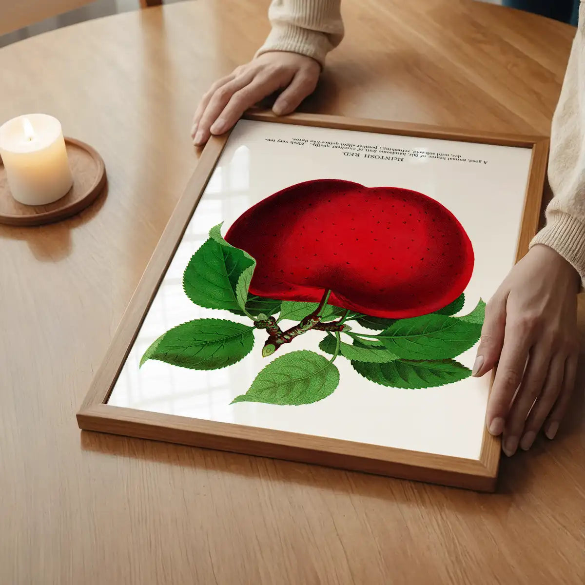 Mcintosh red apple Vintage Lithograph Print