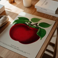 Mcintosh red apple Vintage Lithograph Print