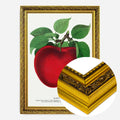 Gold Ornate Frame
